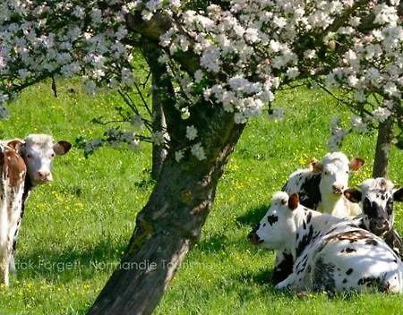 Chalet En Normandie Au Coeur Du Pays D'auge