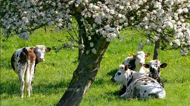 Chalet En Normandie Au Coeur Du Pays D'auge